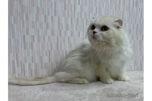 赤福ちゃん1枚目