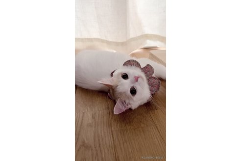 リタちゃん1枚目