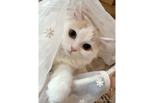 リタちゃん1枚目