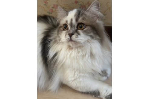 はなちゃん1枚目