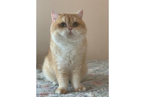 YAMATO くん1枚目