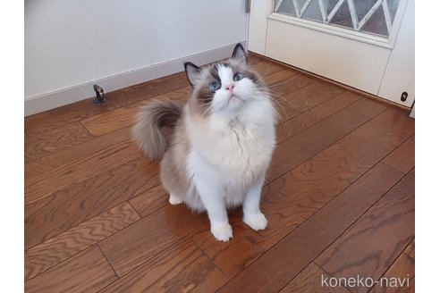 アダちゃん1枚目