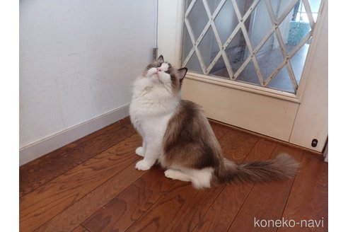 アダちゃん1枚目