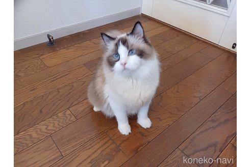 アダちゃん1枚目