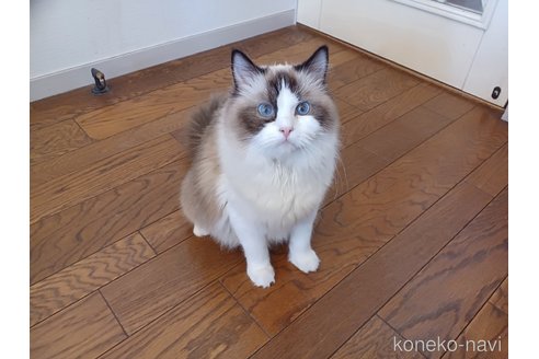 アダちゃん1枚目