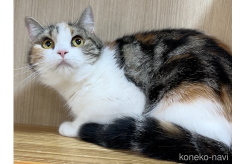 ぽんずちゃん1枚目