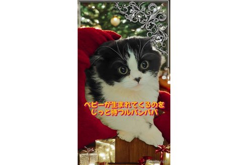 ルパン(ブラック＆ホワイトバイカラー)くん1枚目