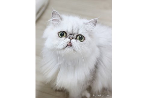 ゆいちゃん1枚目