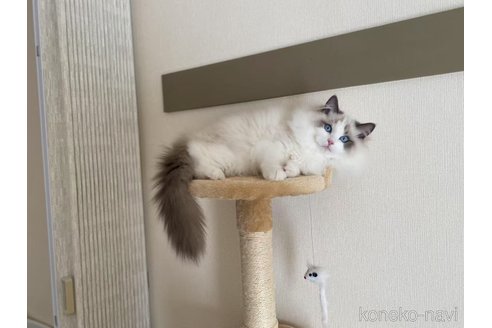 たけしくん1枚目