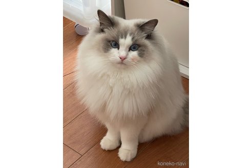 あやちゃん1枚目