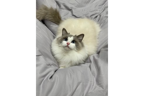 あやちゃん1枚目