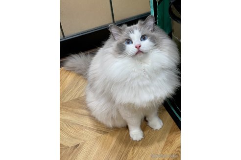 あやちゃん1枚目