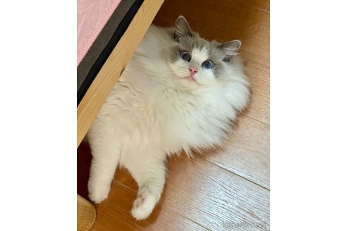 あやちゃん1枚目