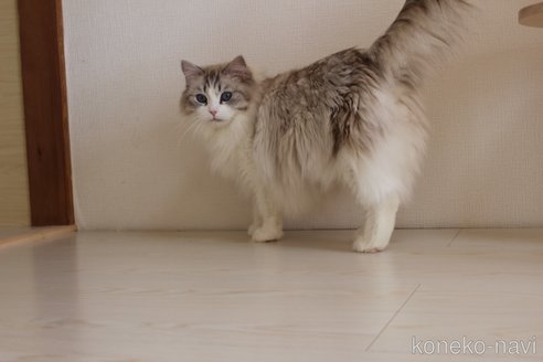 はなちゃん1枚目