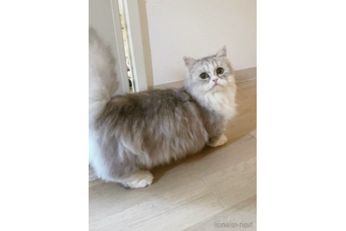ふふちゃん1枚目