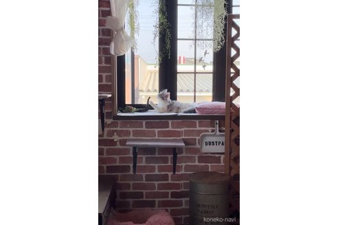 An.ちゃん1枚目
