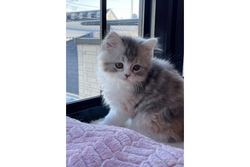 An.ちゃん1枚目