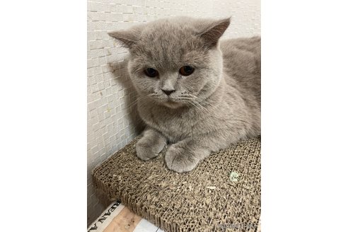 サイちゃん1枚目