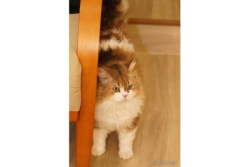 MAKIくん1枚目