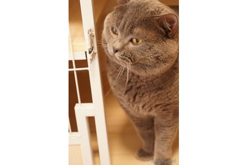 ハウルくん1枚目