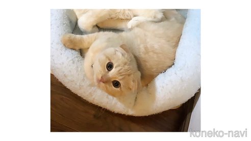 ムクちゃん1枚目