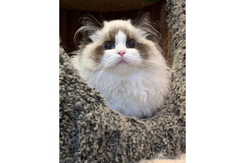  ルビーちゃん1枚目