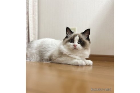 の三重県の-