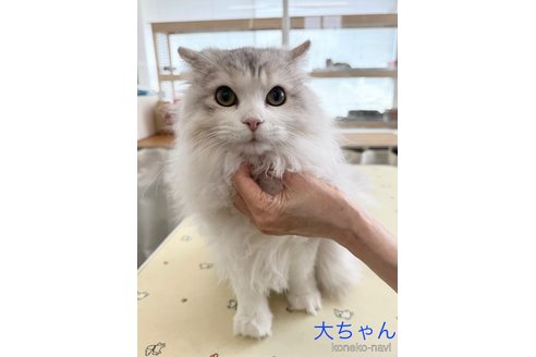 大くん1枚目