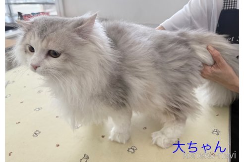 大くん1枚目