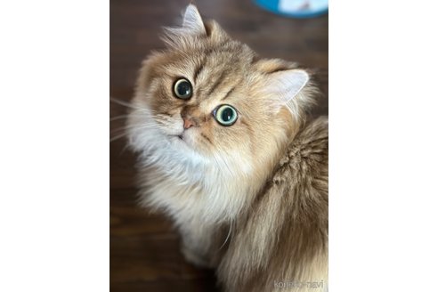 ととくん1枚目