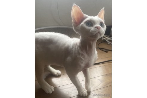 baibaiちゃん1枚目