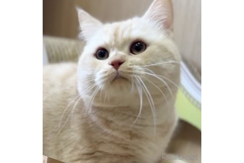 金蔵くん1枚目