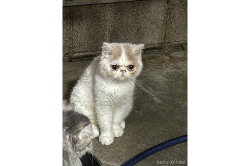 くん1枚目