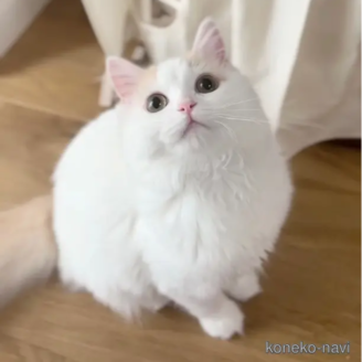 リタちゃん1枚目