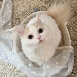 リタちゃん1枚目