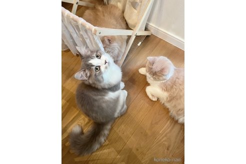 レオくん1枚目