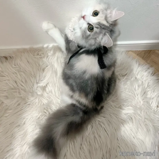 ティアナちゃん1枚目