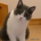 オンライン見学
