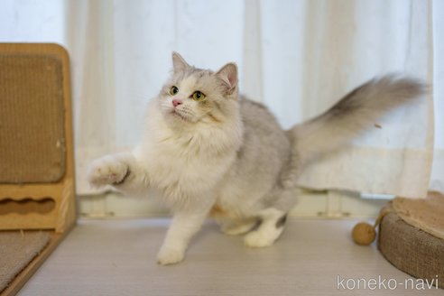 小郭ちゃん1枚目
