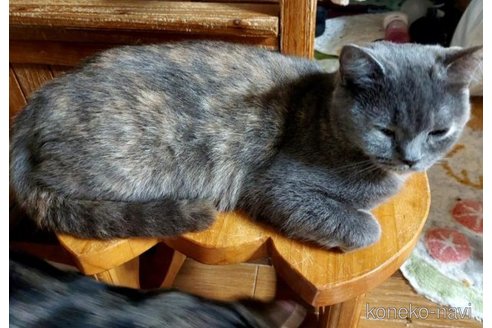 歌ちゃんちゃん1枚目