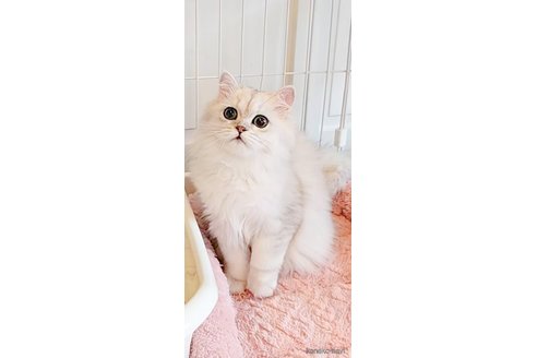 エリックくん1枚目