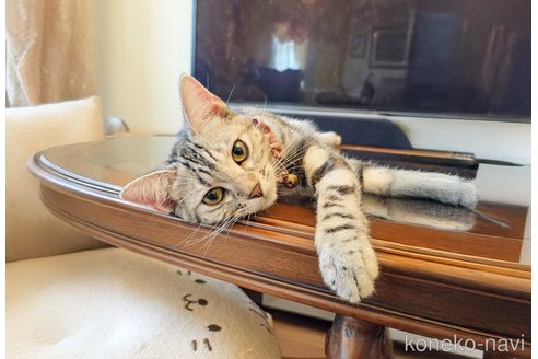 ジュリアちゃん1枚目