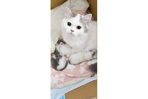 ピアノちゃん1枚目