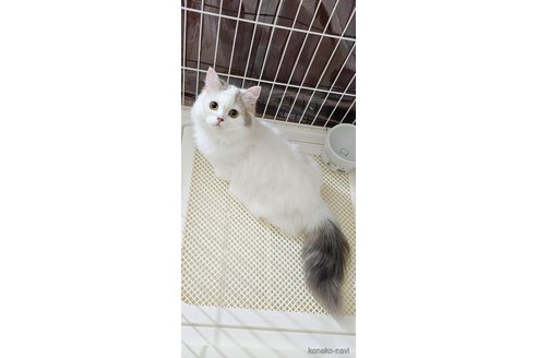 ピアノちゃん1枚目