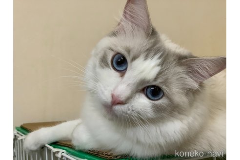 ちゃん1枚目