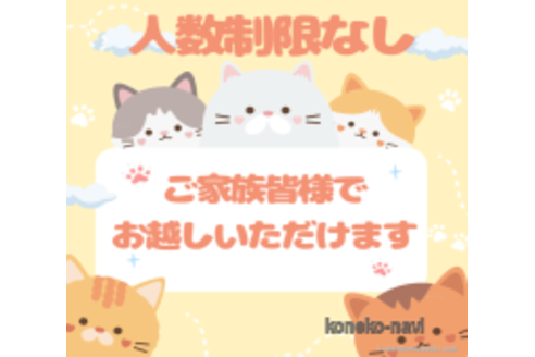 成約済の千葉県のスコティッシュフォールド-115098の3枚目