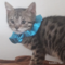 オンライン見学