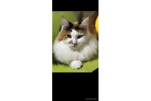 うんうんちゃん1枚目
