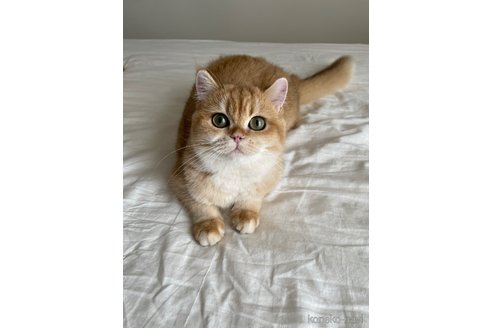 Charmeちゃん1枚目