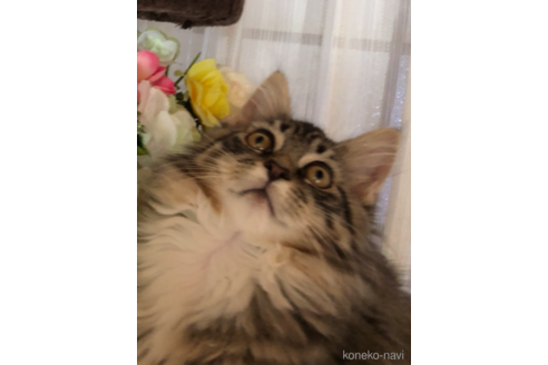 ミリちんんちゃん1枚目